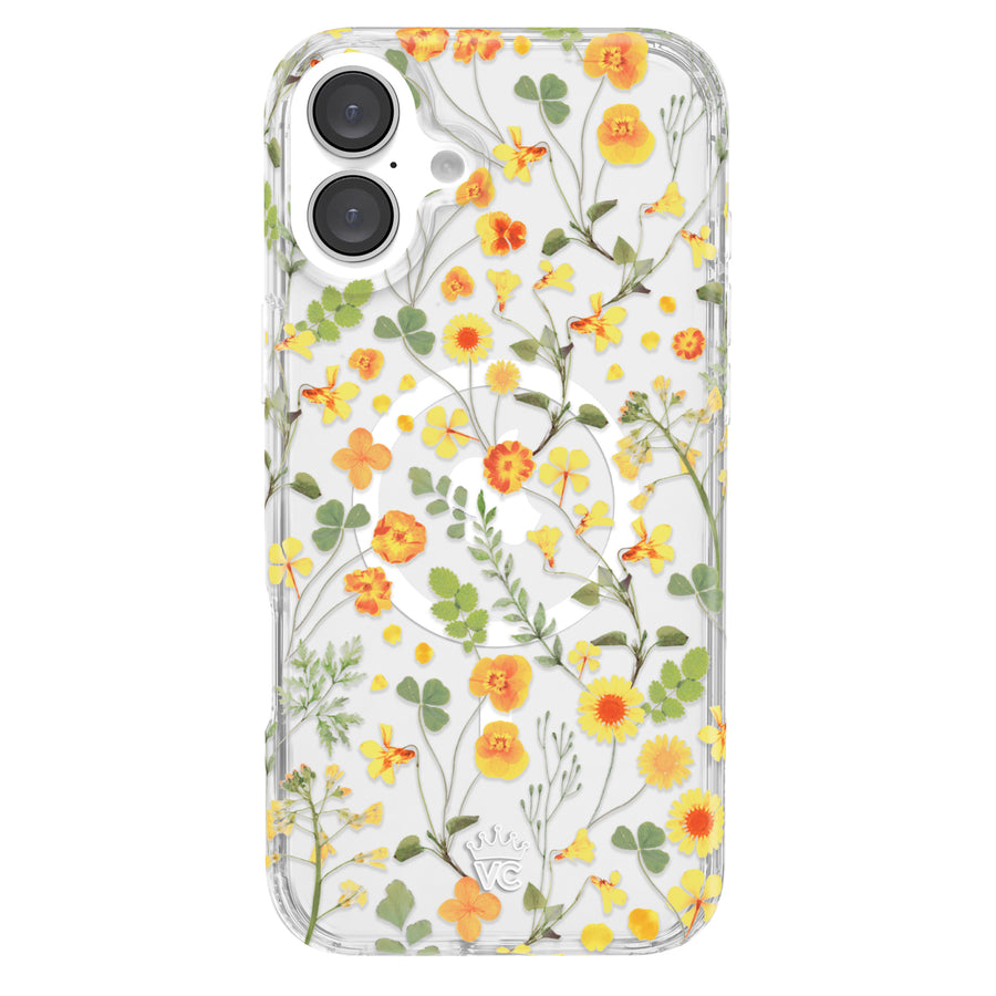 iPhone 16 Plus